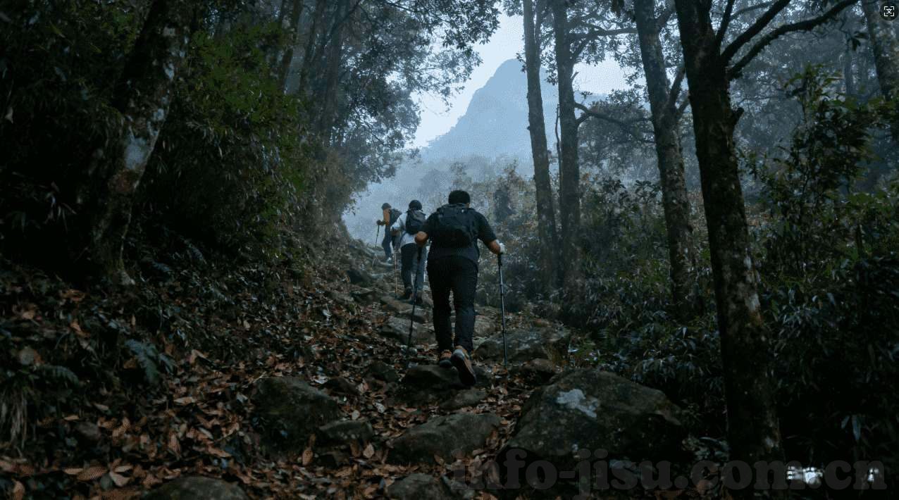 壹号娱乐平台-壹号娱乐平台，重塑线上娱乐新格局的领航者-壹号娱乐平台